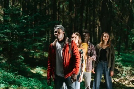 Balade en forêt image libre de droit