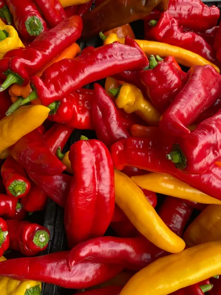 Du piments image libre de droit