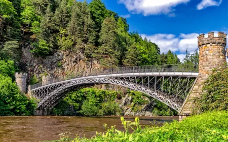 Un pont en forêt image libre de droit