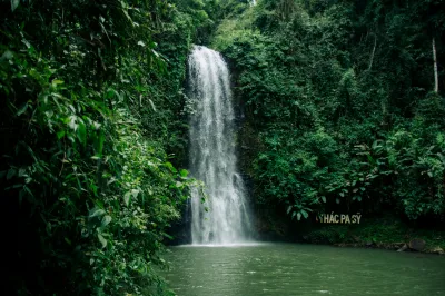 Un beau cascade en forêt