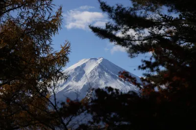 Mont Fuji enneigé vu à travers la forêt